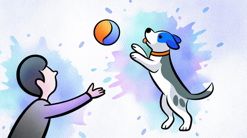 Кинолог: плюсы и минусы профессии